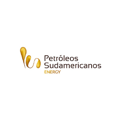 logo-sudamericano