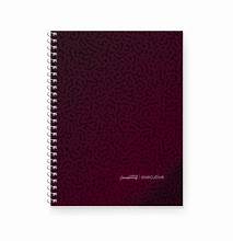 Cuaderno Bordo Ledesma EXEC