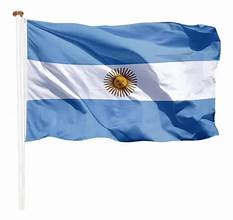 [000000001000640972] Bandera Nuevo Milenio ARG 0,90X1,5M